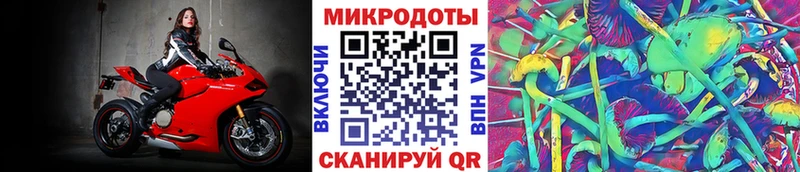 Галлюциногенные грибы Psilocybine cubensis  Камызяк 